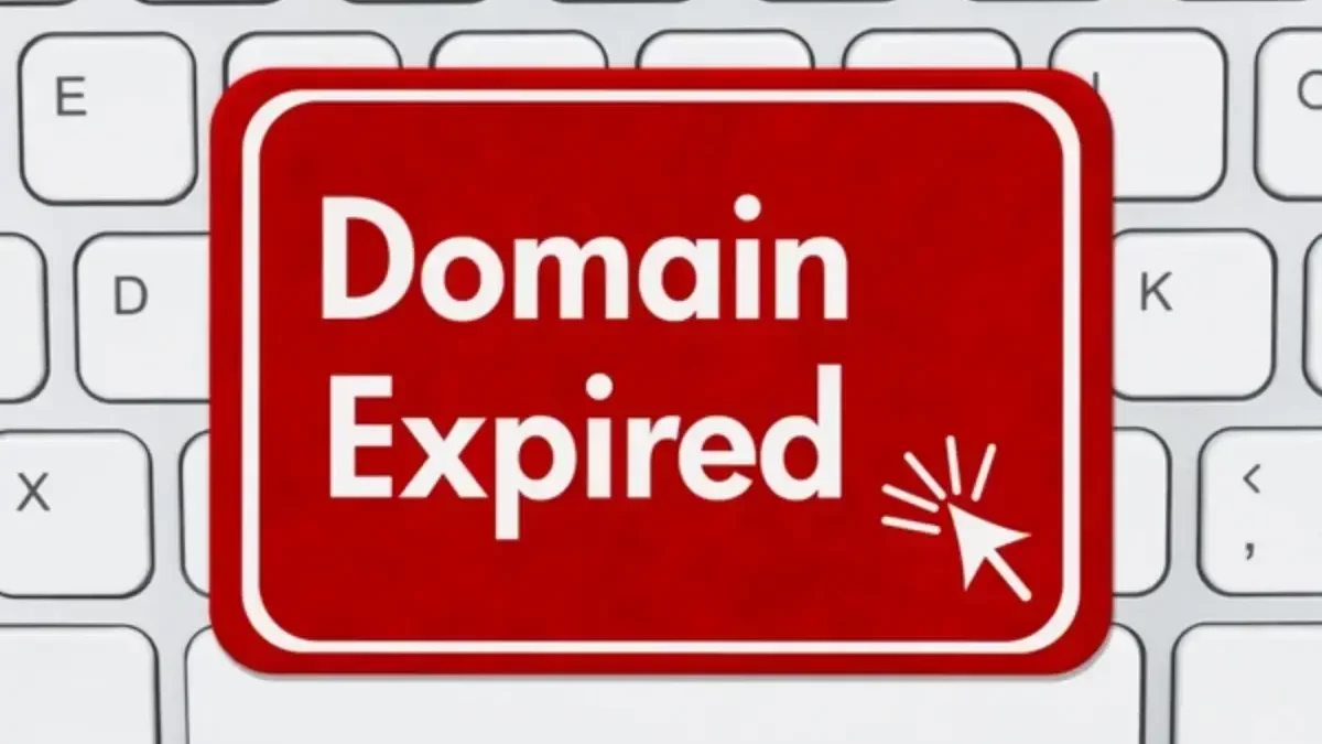 expired domain-grey hat seo techniques 