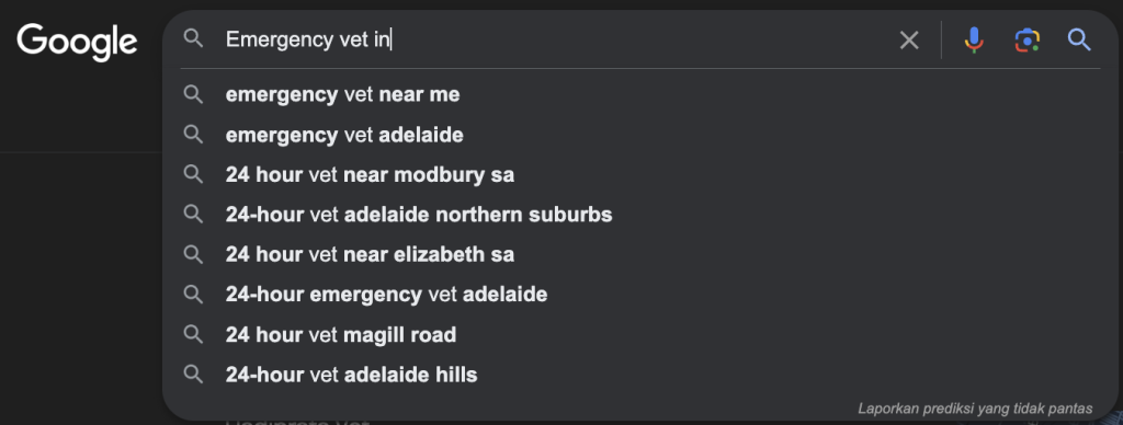 SEO For Veterinarians Google search autocomplete suggestions for the query “Emergency vet in,”