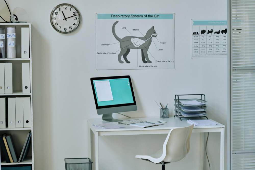 A veterinary office desk featuring a computer with a blank screen, various office supplies, and a chart detailing the respiratory system of a cat on the wall.