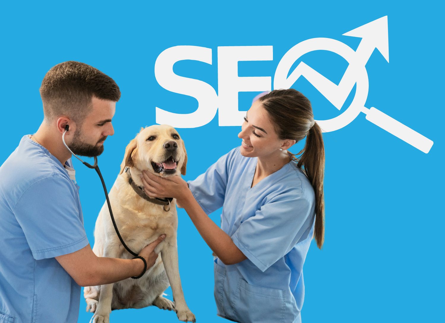 seo for veterinarians