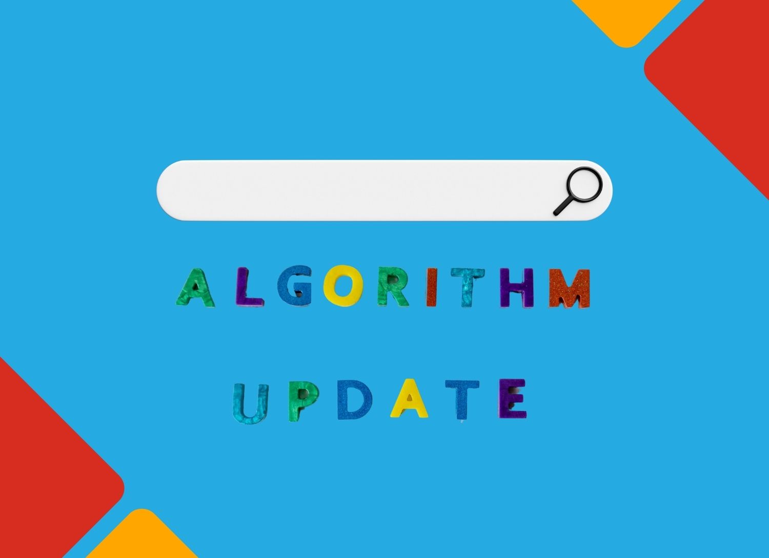 Google algorithm update august 2024